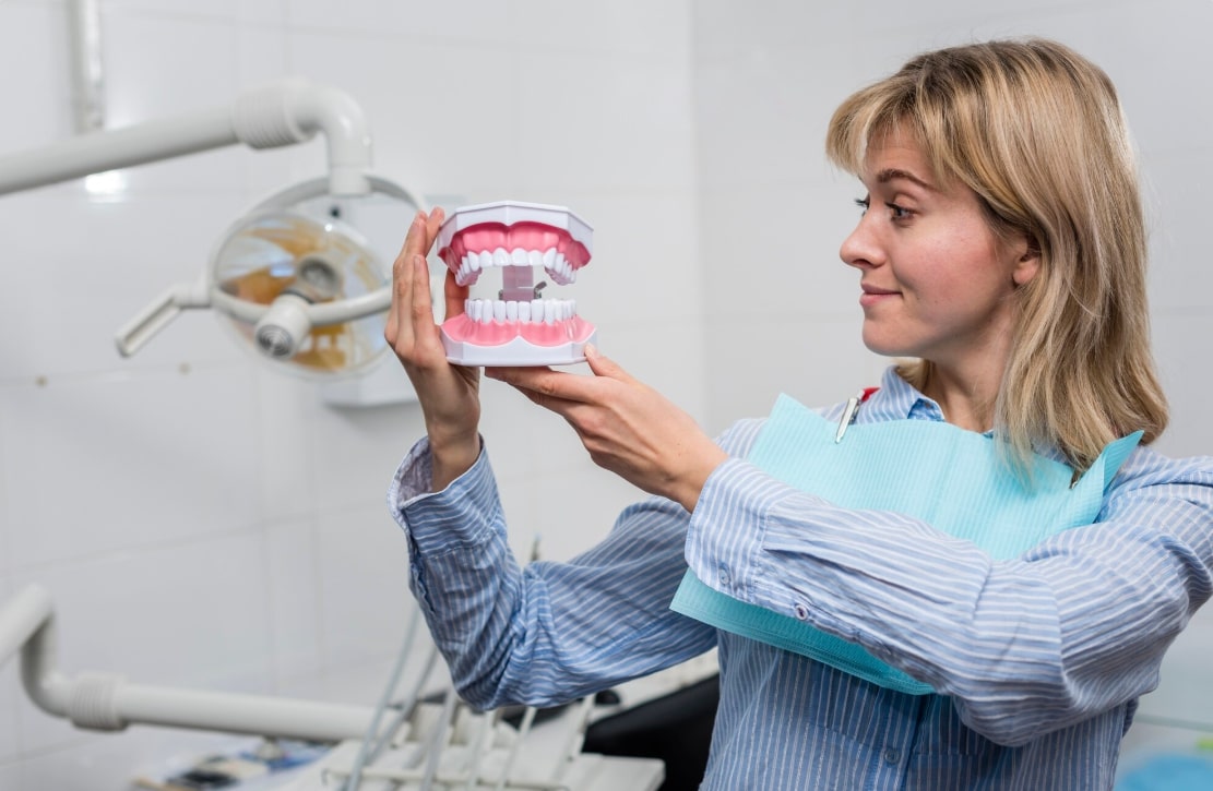Young female dentist holding a model of teeth